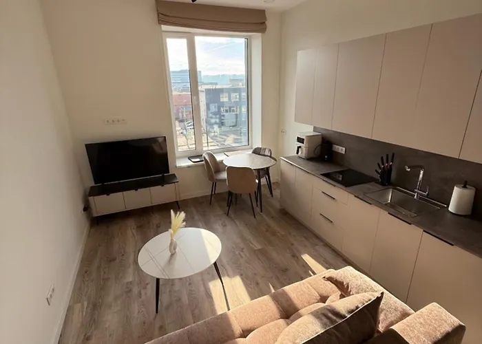 Cosy Near Centre * Kaunas