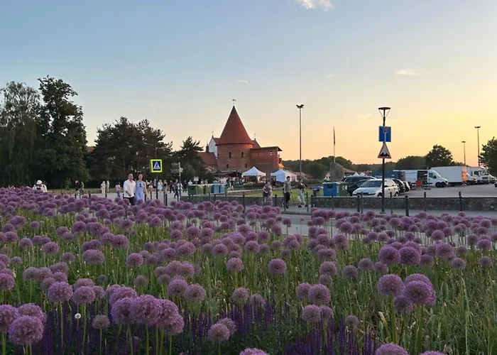 Cosy Near Centre Apartment